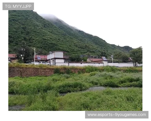“泥泞中的王者：雨后泥地的疯狂追逐”，雨后泥泞的小路作文