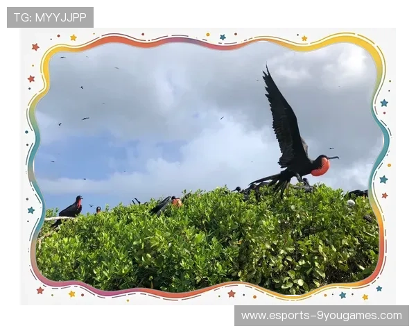 安提瓜举办国际极限运动盛会，安提瓜安全吗